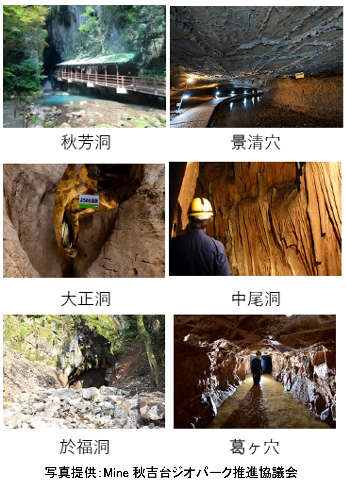 Mine秋吉台ジオパーク 10. 秋吉台の三大観光鍾乳洞｜ワッキー教授