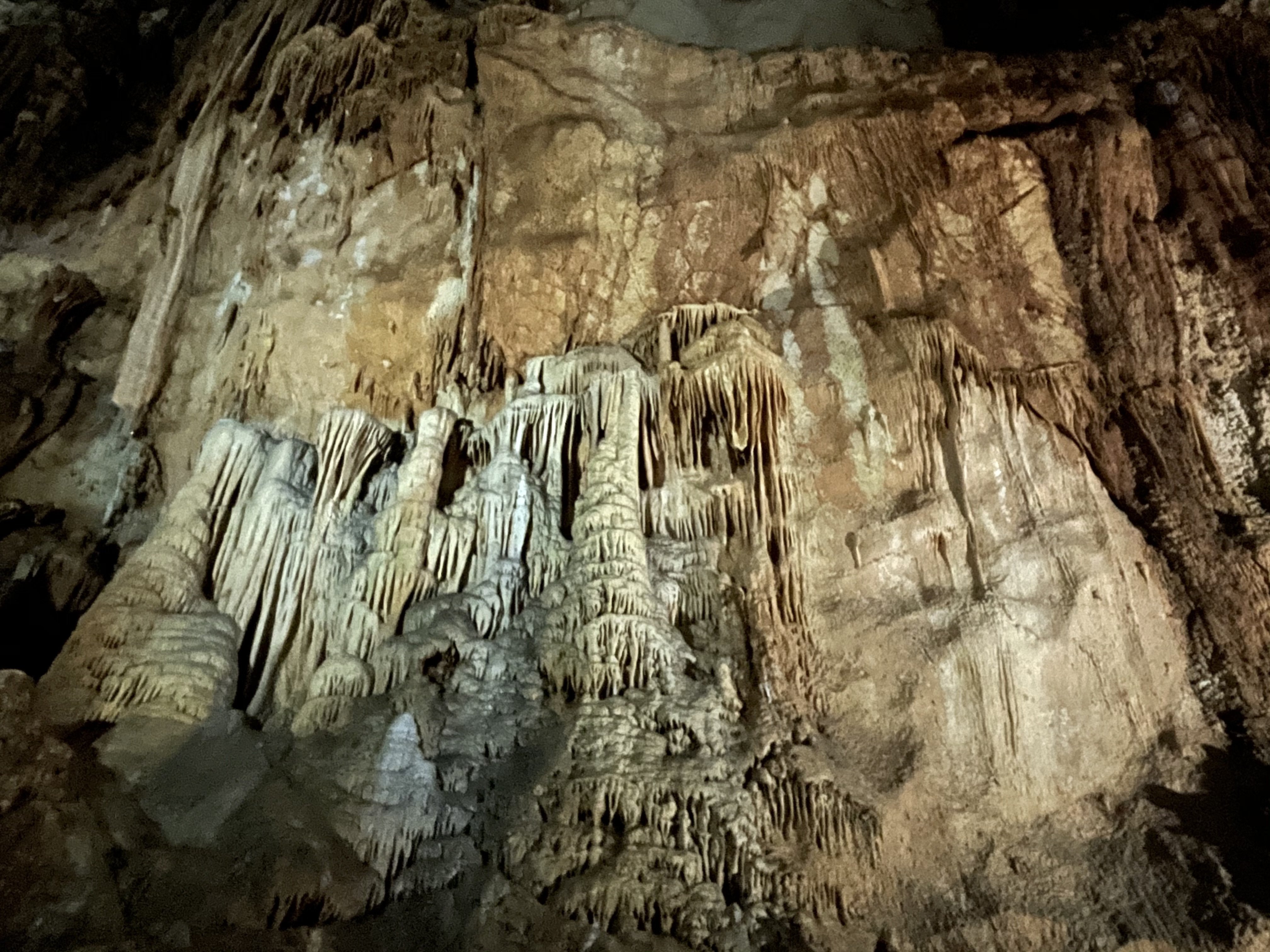 Mine秋吉台ジオパーク 10. 秋吉台の三大観光鍾乳洞｜ワッキー教授