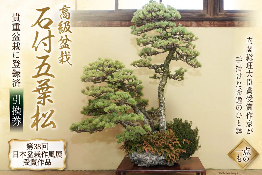 堅山南風、【八重桜】、希少な大判額装用画集より、新品高級額装付 
