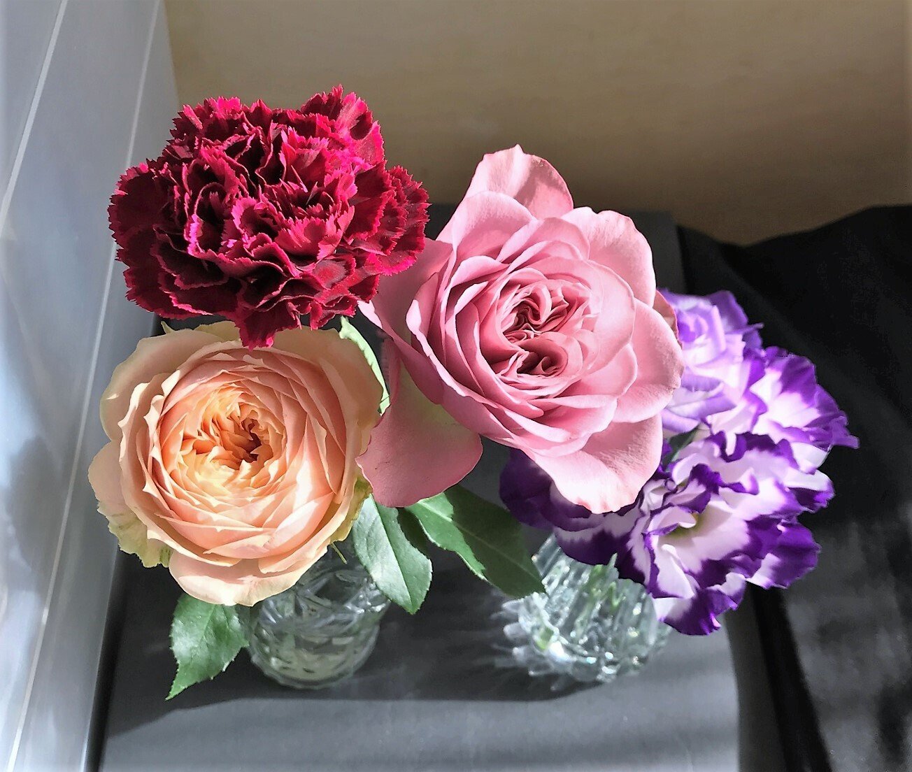 おうち活け花 薔薇 アヴニール スウィートカタリナ カーネーション ノビオブラックアイ トルコ桔梗 パステル八重 悠冴紀 小説家 詩人 Note おうち活け花 薔薇 アヴニール スウィートカタリナ カーネーション ノビオブラックアイ トルコ桔梗 パステル八重 悠冴紀 小説家 詩人 Note