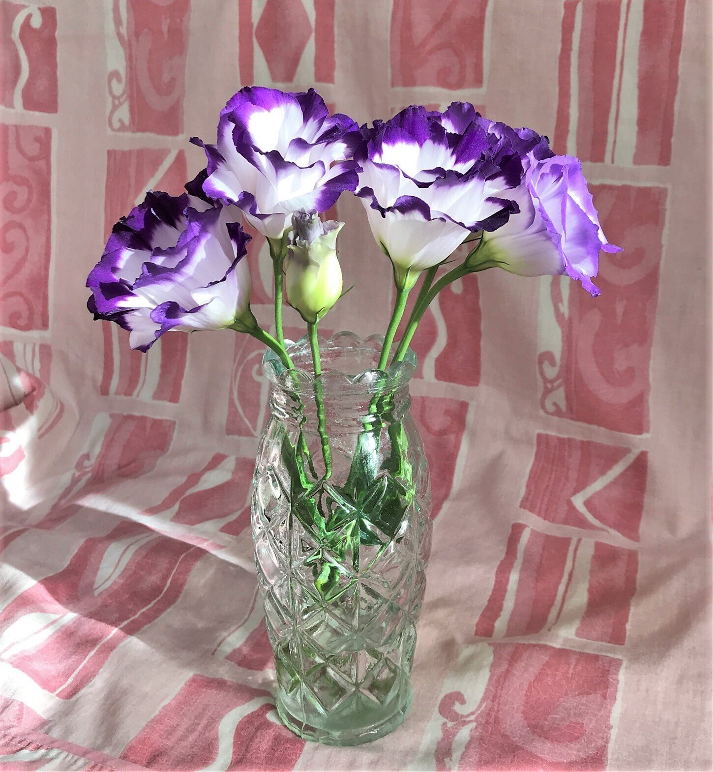 おうち活け花 薔薇 アヴニール スウィートカタリナ カーネーション ノビオブラックアイ トルコ桔梗 パステル八重 悠冴紀 小説家 詩人 Note おうち活け花 薔薇 アヴニール スウィートカタリナ カーネーション ノビオブラックアイ トルコ桔梗 パステル八重 悠冴紀 小説家 詩人 Note