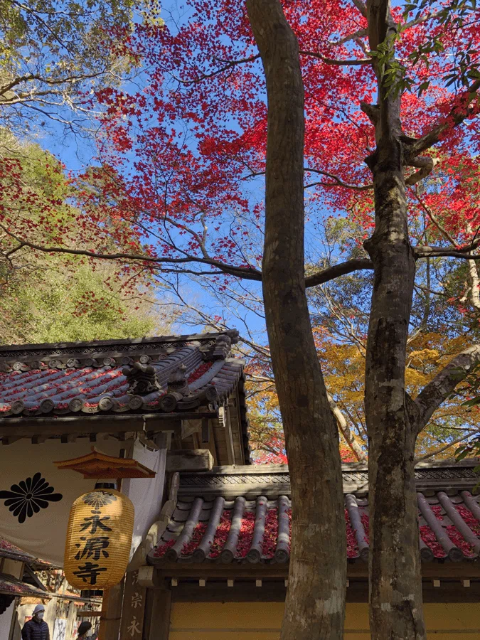 永源寺