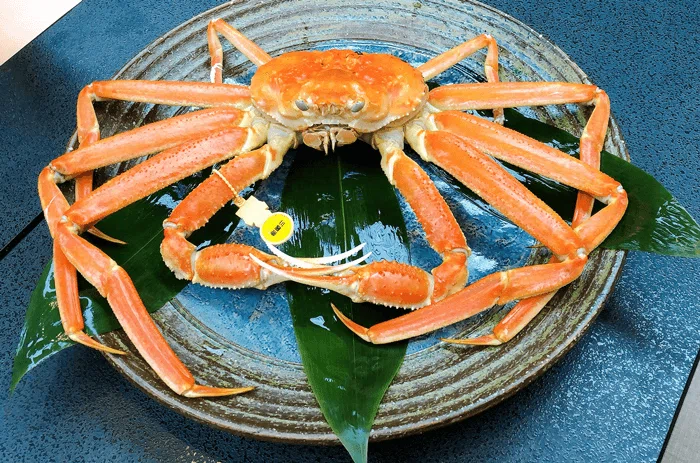 越前蟹