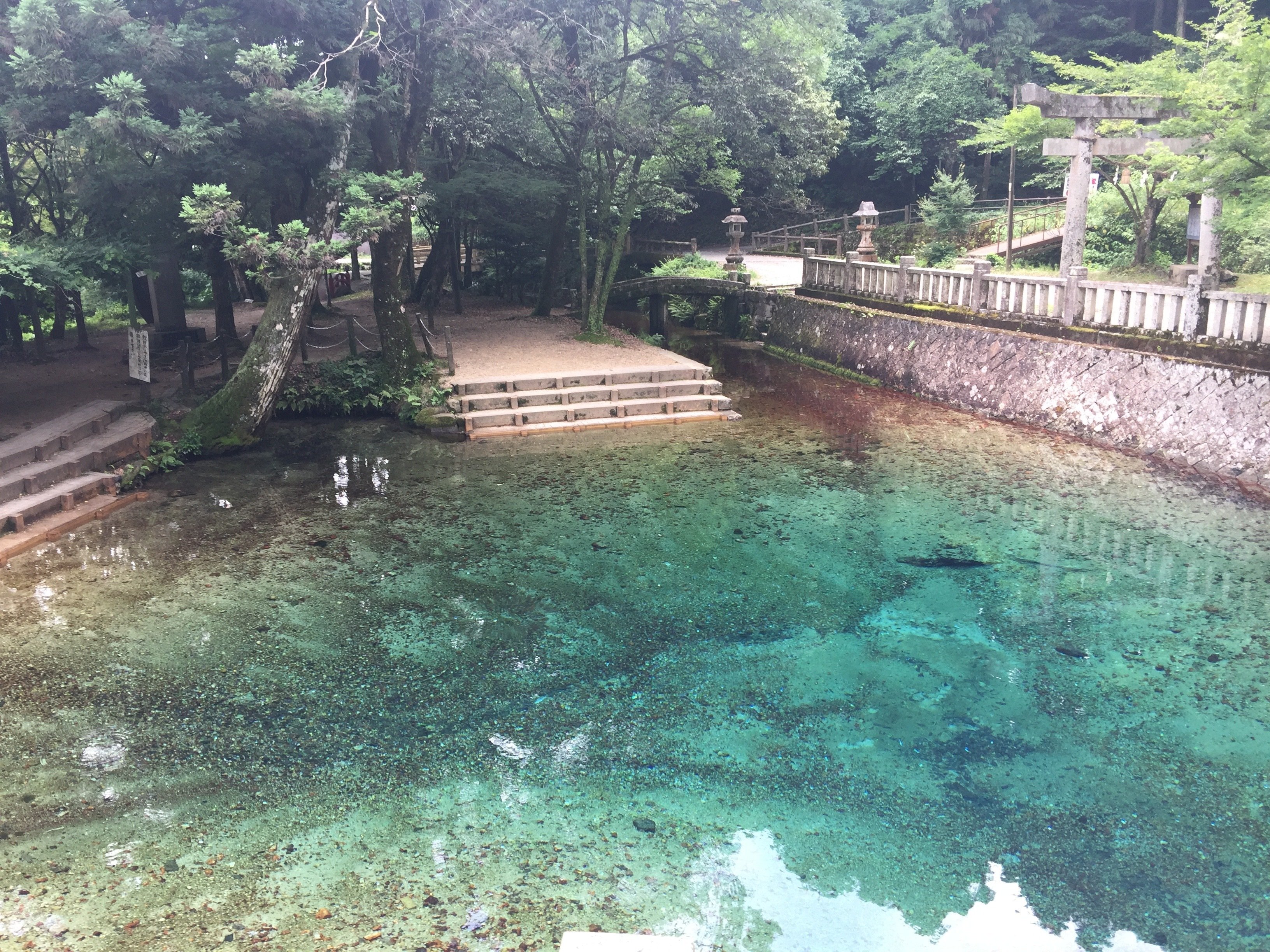 水道秋聖　「千野の池」 Mine秋吉台ジオパーク解説 16. 水からの力を信じろ！｜ワッキー教授