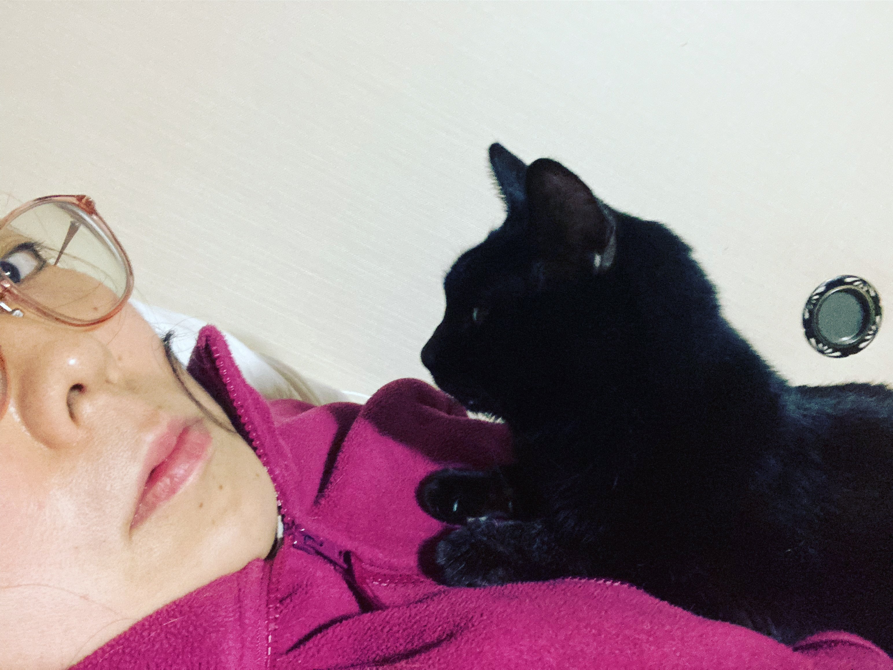 黒猫クロちゃん もも 毎月２５日アモヨコ古本喫茶 京都 Note
