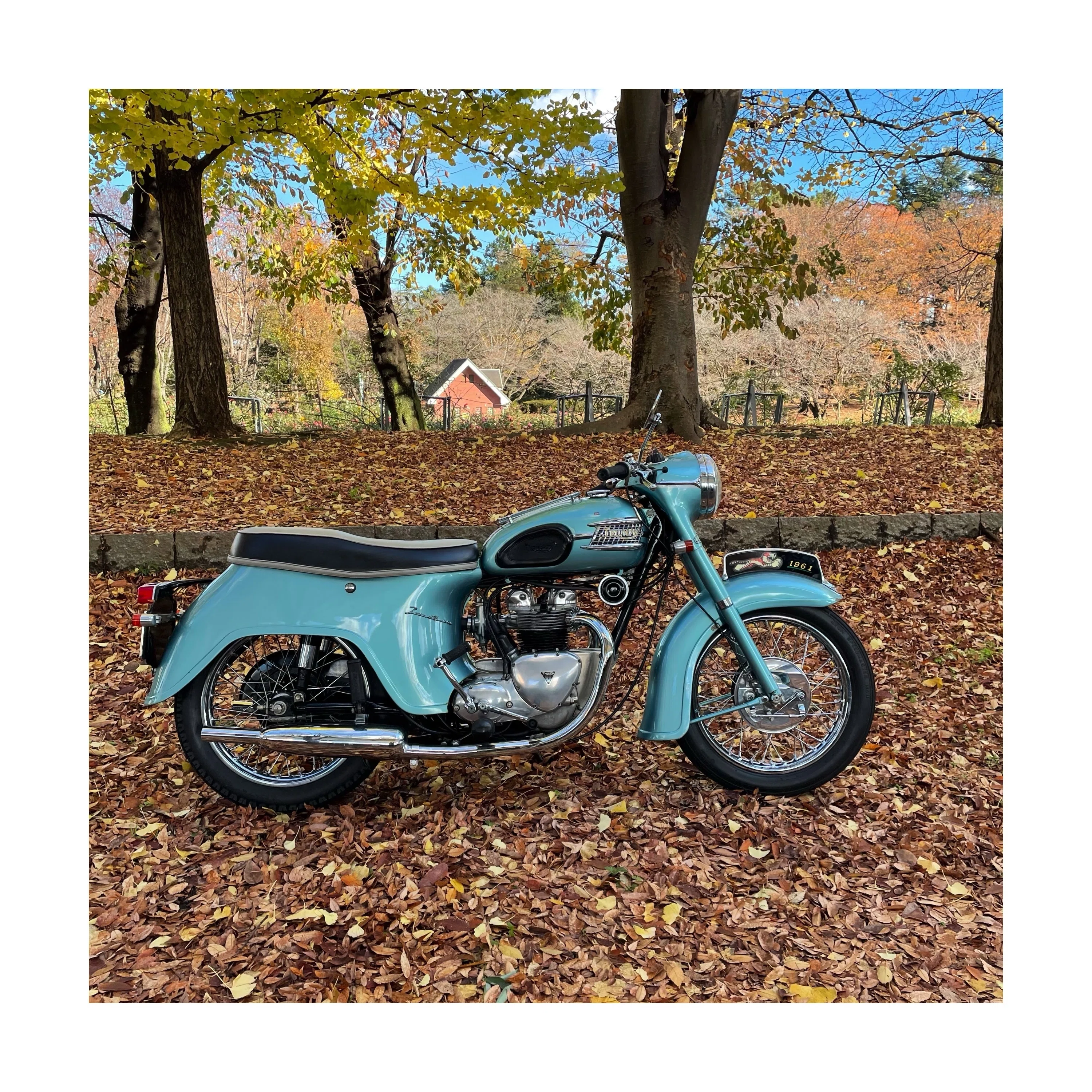 VINTAGE TRIUMPHの教科書。年代とモデル紹介編。｜Mr.『Q』