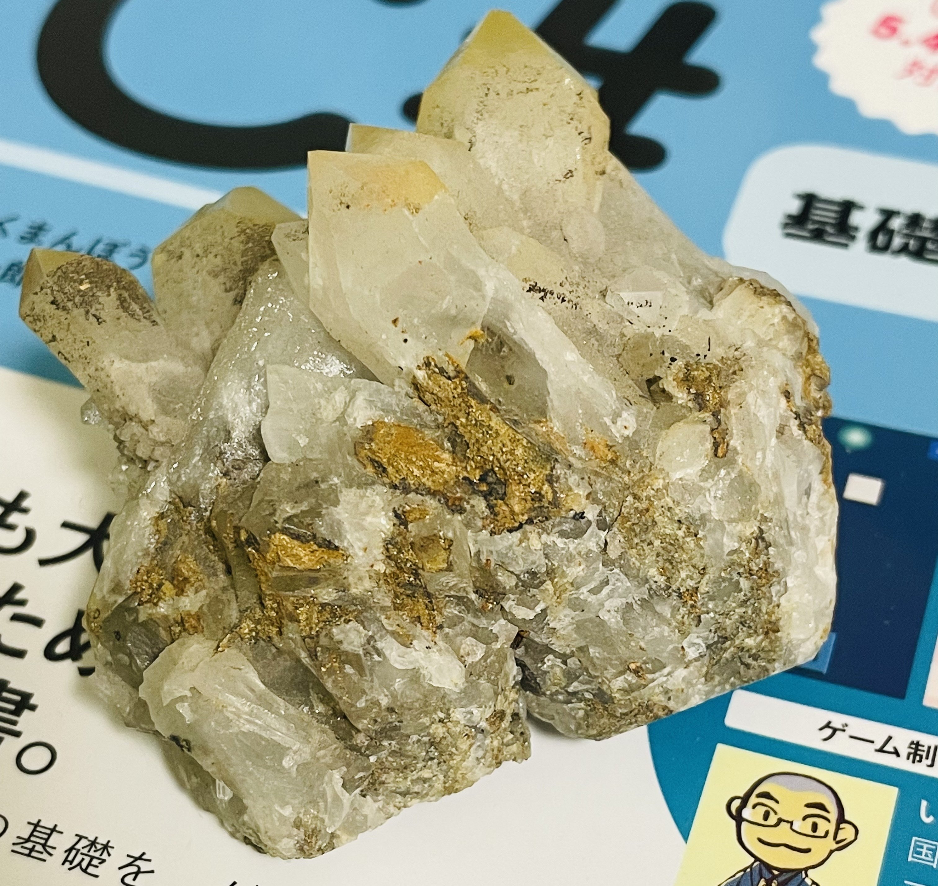 ゴールデンヒーラーライモナイト入り 貔貅 置物 | marlinspikeartist.com