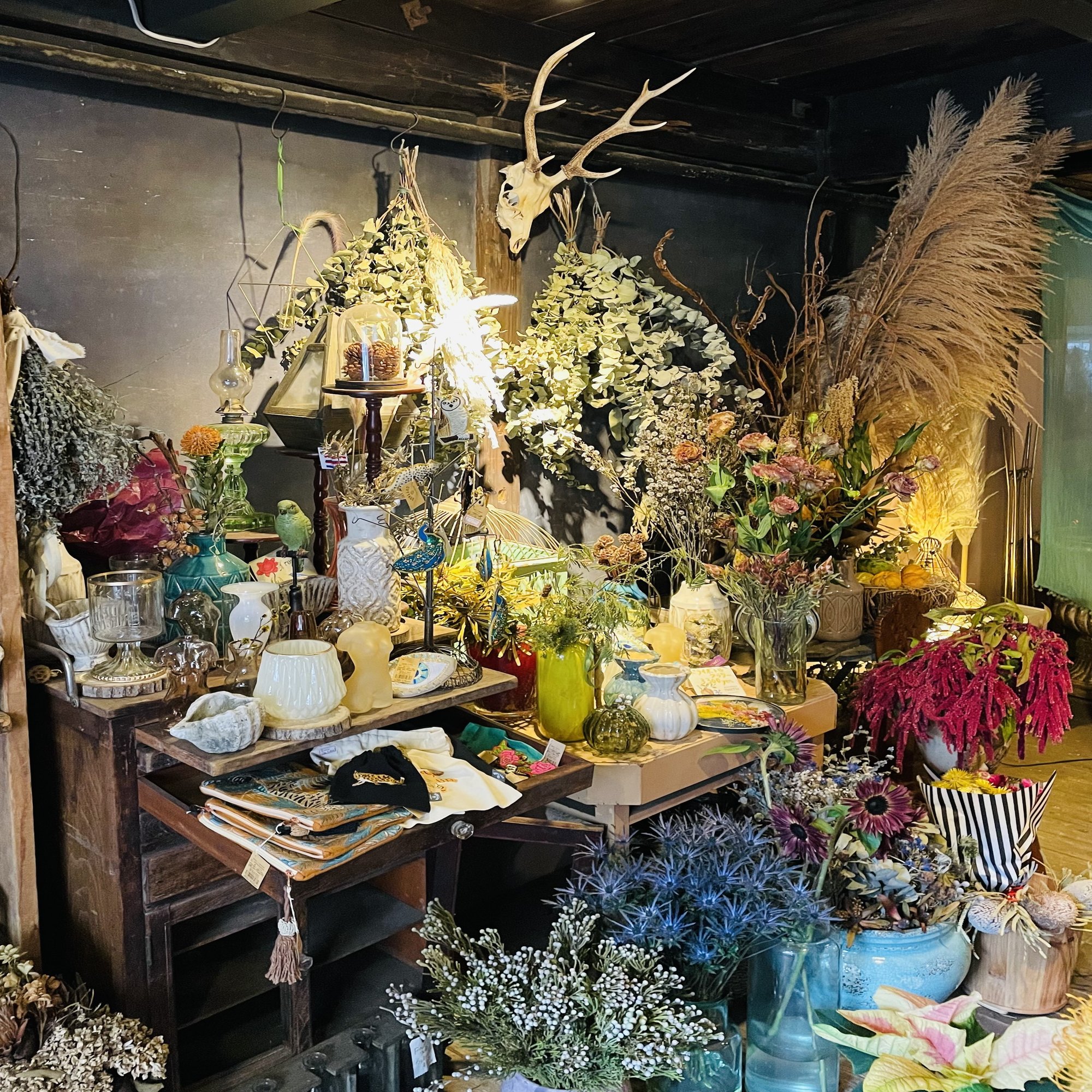 北九州のお洒落さんご用達花屋さん ベトナム料理chaocafe キッチンカー計画 Note