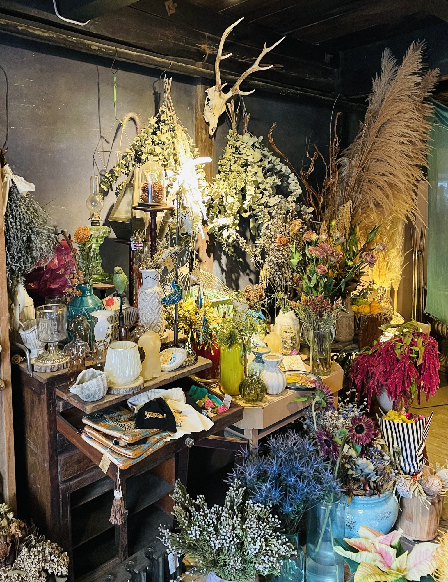 北九州のお洒落さんご用達花屋さん ベトナム料理chaocafe キッチンカー計画 Note 北九州のお洒落さんご用達花屋さん ベトナム料理chaocafe キッチンカー計画 Note