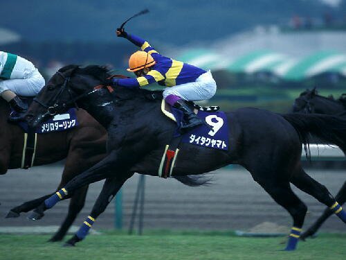 ダイタクヤマト 00年 スプリンターズS 16番人気 的中単勝馬券全
