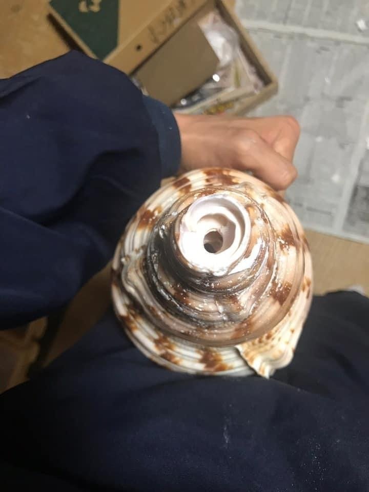 法螺貝談義（第1話）｜辛島正英（不動山大聖院）