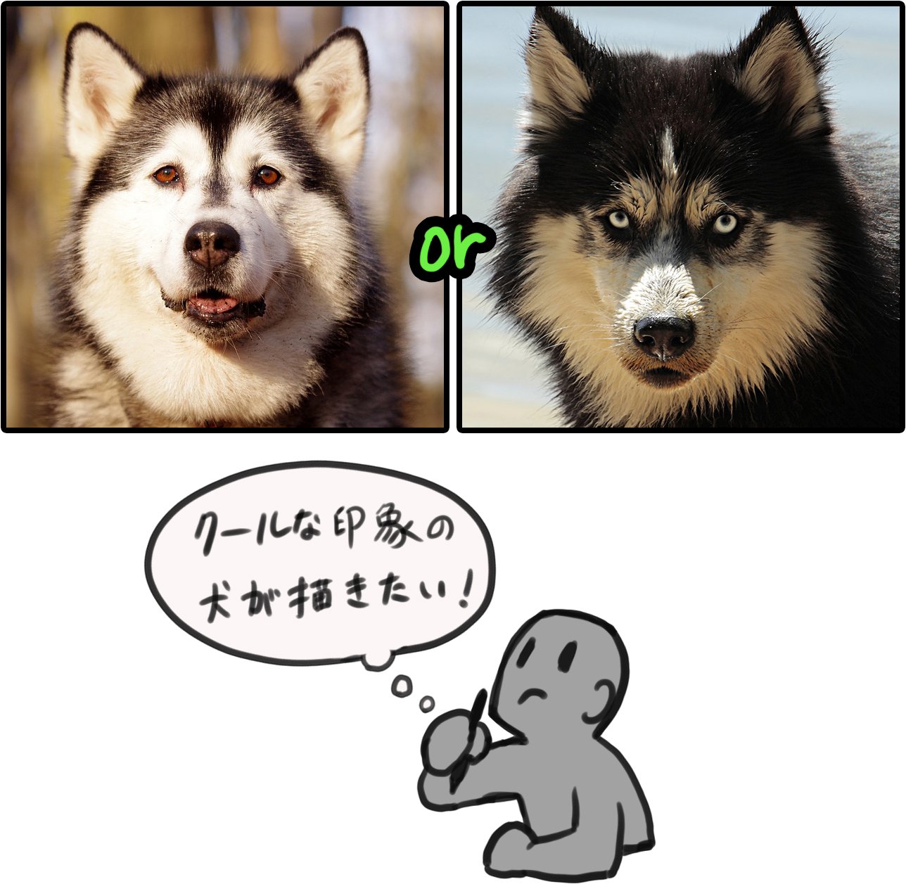 動物の かっこいい かわいい を決める要素は何 山村れぇ Kuaイラストレーションコース Note 動物の かっこいい かわいい を決める要素は何 山村れぇ Kuaイラストレーションコース Note