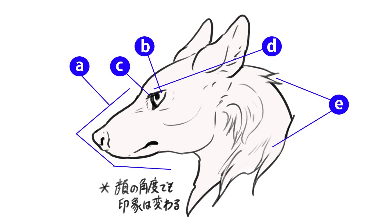 動物の かっこいい かわいい を決める要素は何 山村れぇ Kuaイラストレーションコース Note 動物の かっこいい かわいい を決める要素は何 山村れぇ Kuaイラストレーションコース Note