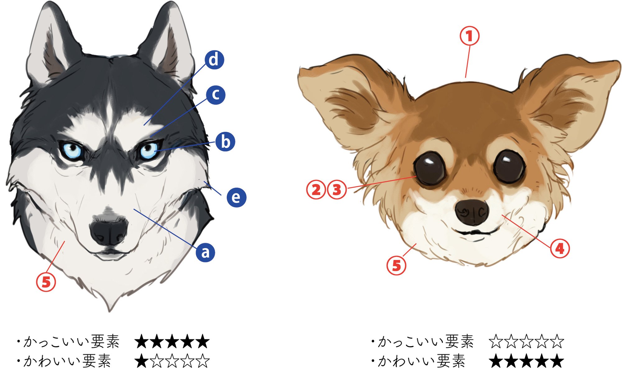 動物の かっこいい かわいい を決める要素は何 山村れぇ Kuaイラストレーションコース Note 動物の かっこいい かわいい を決める要素は何 山村れぇ Kuaイラストレーションコース Note