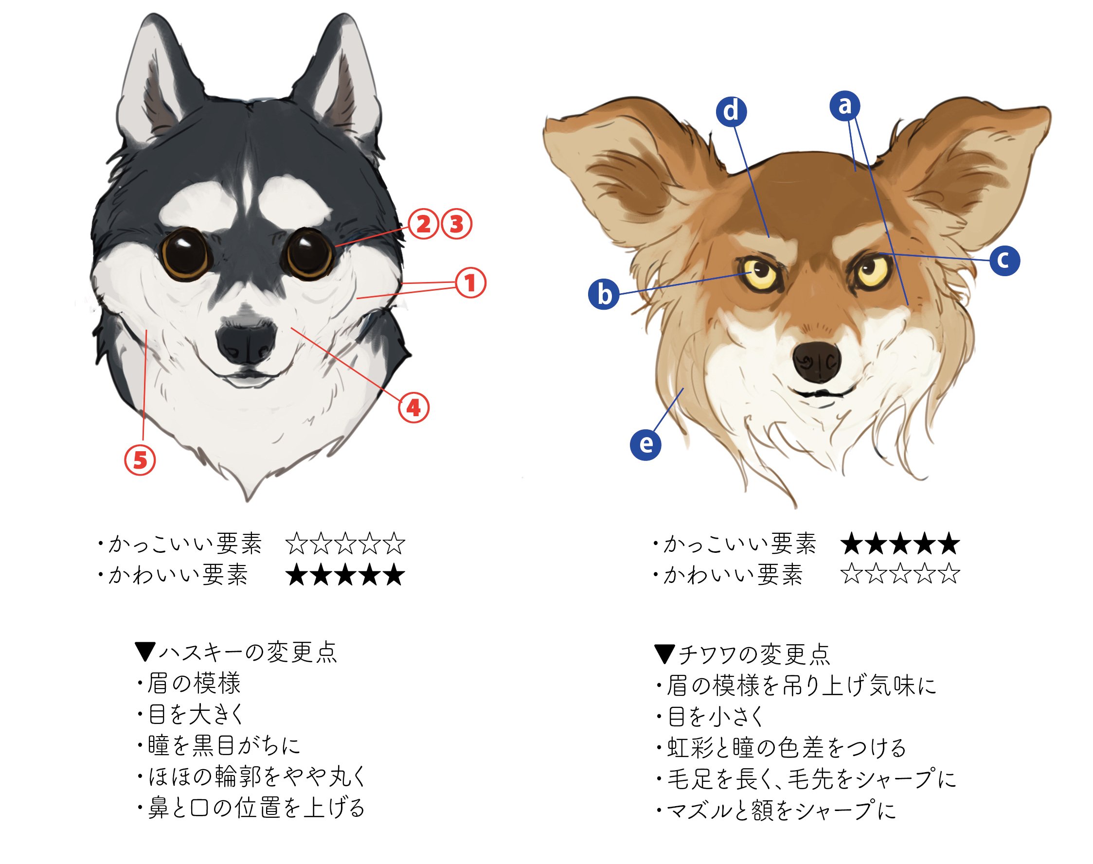 動物の かっこいい かわいい を決める要素は何 山村れぇ Kuaイラストレーションコース Note