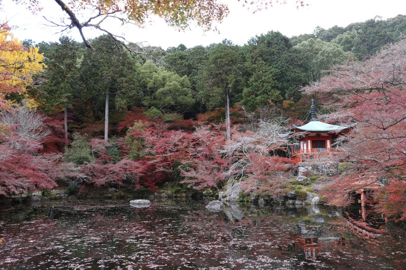 醍醐寺。桜の名所としられる醍醐寺。紅葉も素敵でした。
