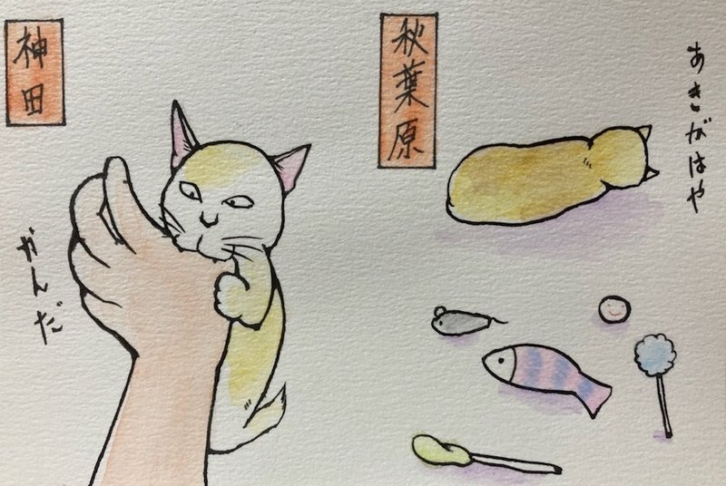 其のまま地口、にゃまの手線シリーズの水彩画バージョンです。■  6．神田（かんだ）／かんだ  飼い主の手を噛んだ猫。 ■7．秋葉原（あきはばら）／あきがはや  玩具を買ってもらっても、飽きが早い猫。