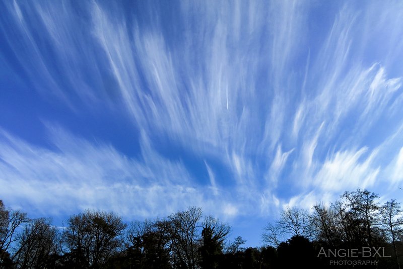 散歩中にふと空を見上げたら、絹糸のような巻雲。