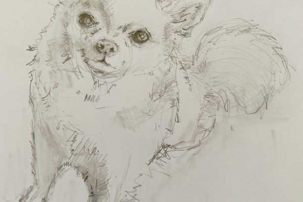 犬のスケッチ の新着タグ記事一覧 Note つくる つながる とどける 犬のスケッチ の新着タグ記事一覧 Note つくる つながる とどける