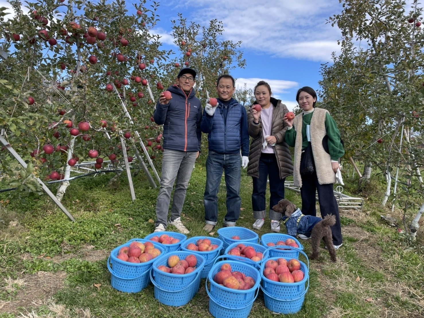 1本まるごと採り放題！「りんごの木オーナー制度」〜佐久穂町の知らざ
