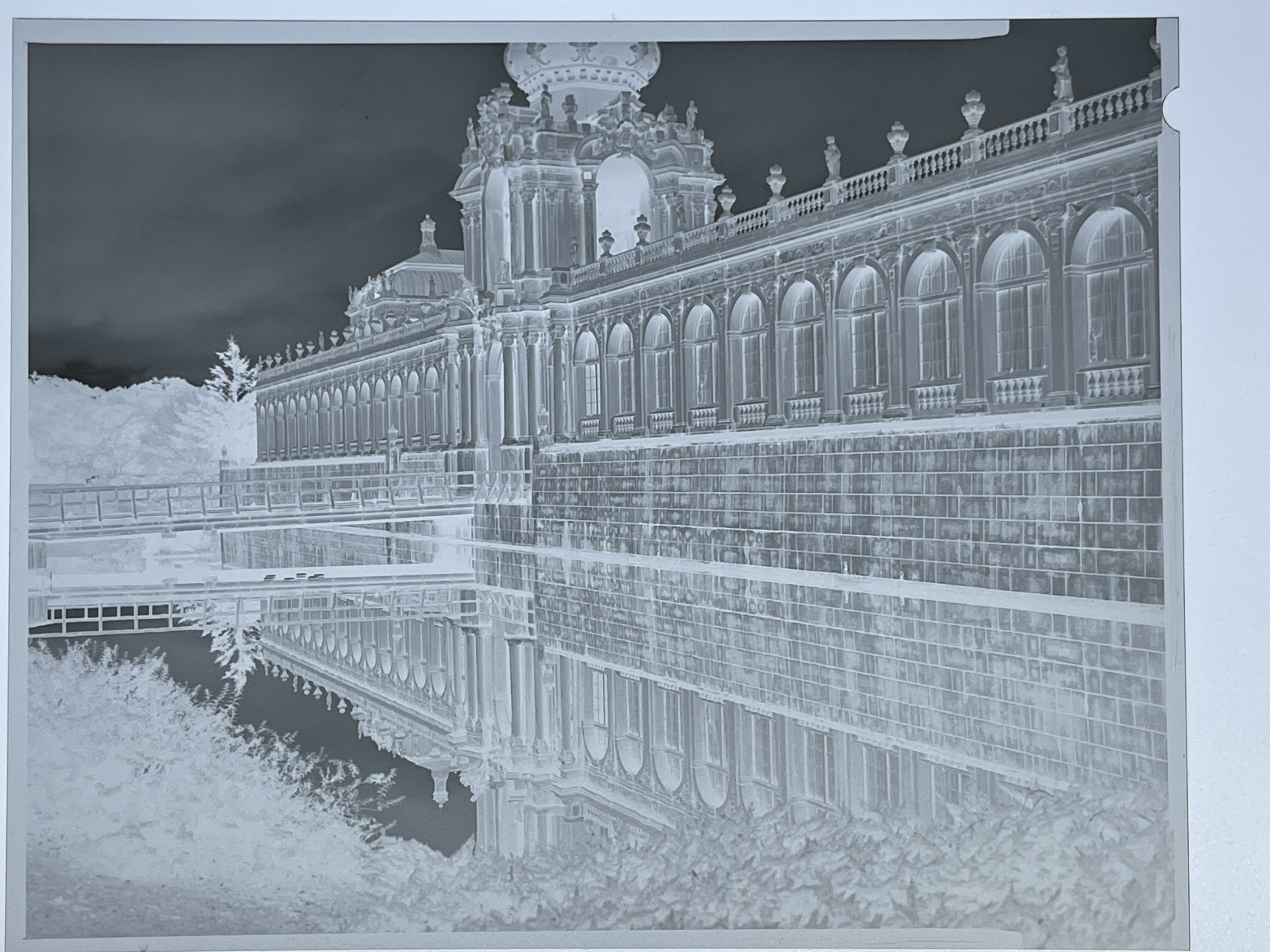 コンタクトプリント｜怪力熊男