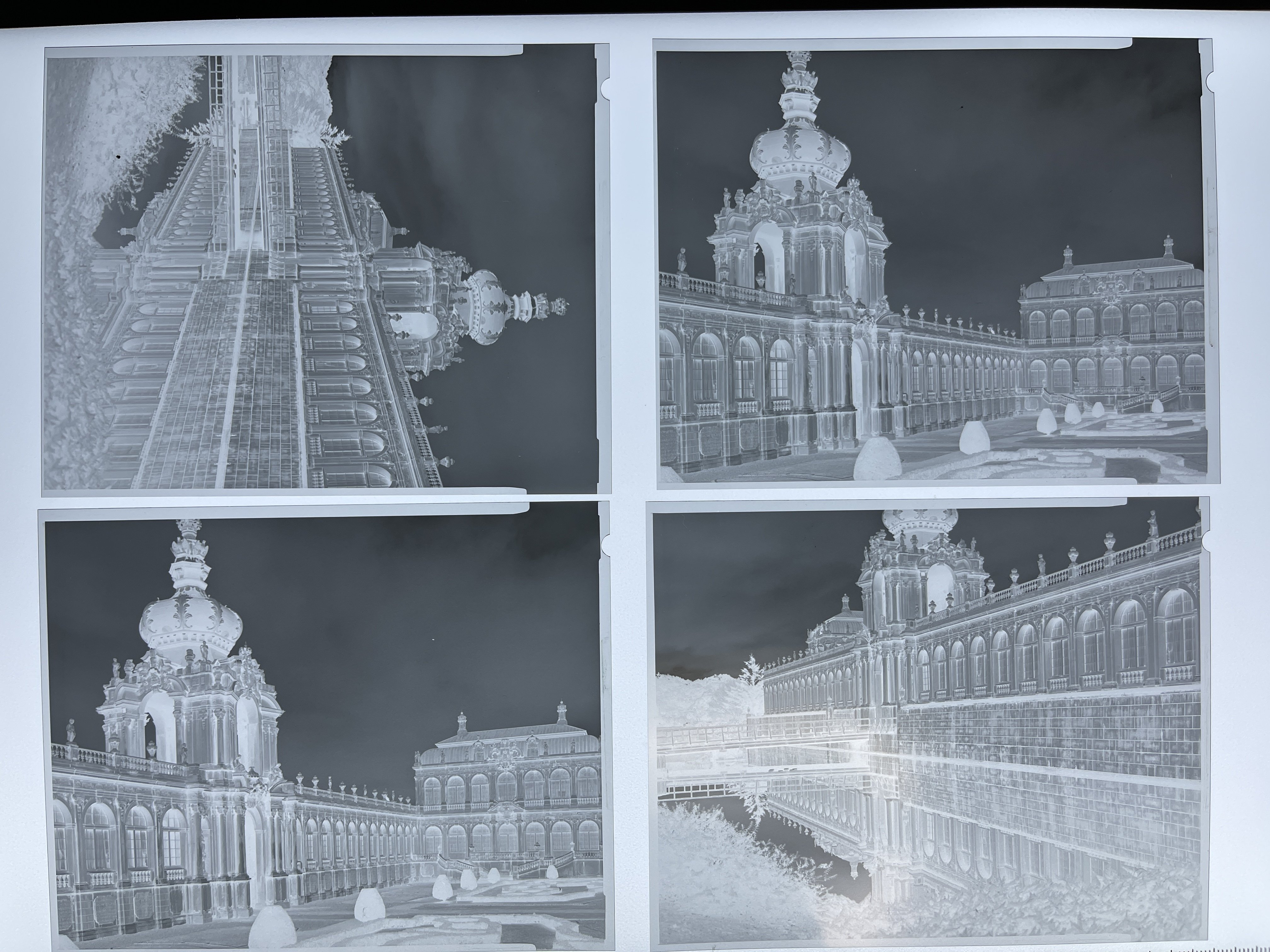 コンタクトプリント｜怪力熊男