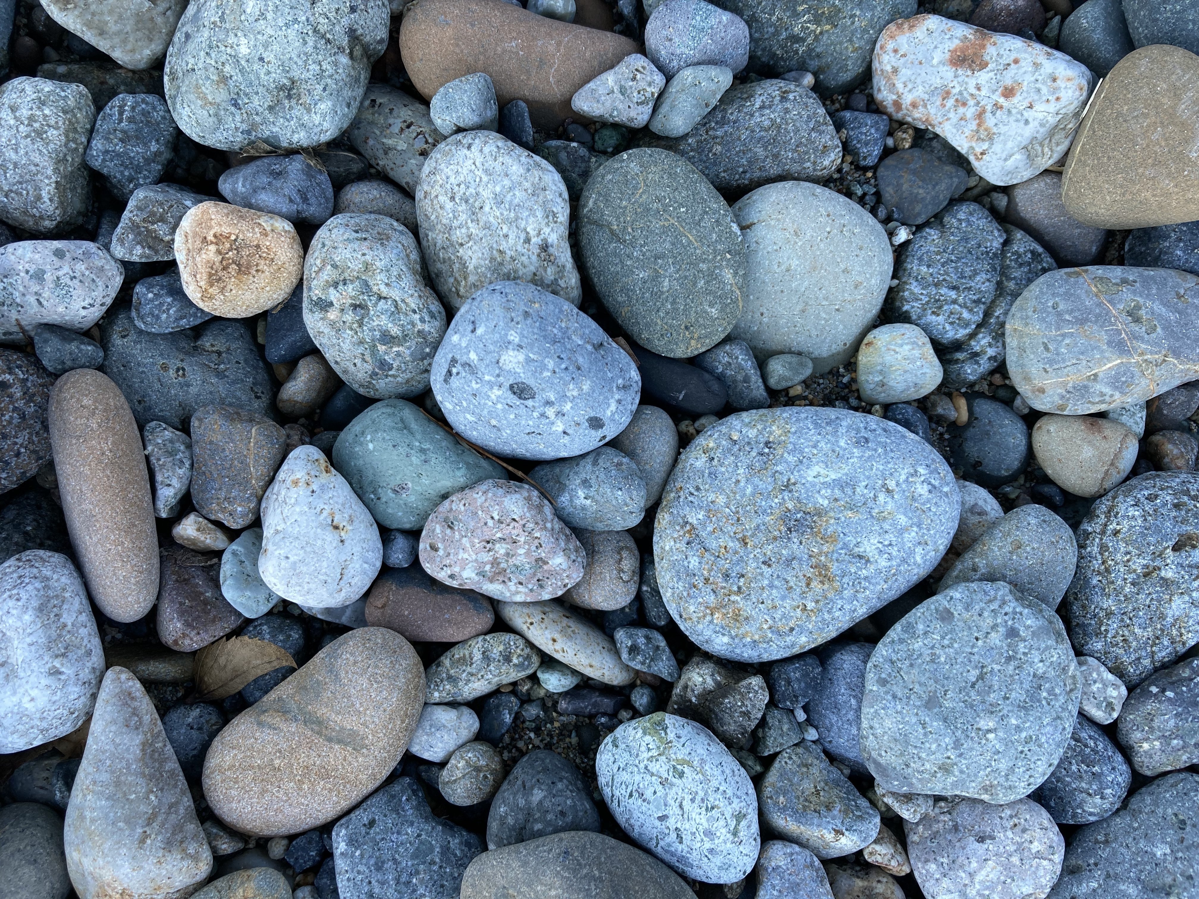 石をひろいに手取川 Gavi22 Note