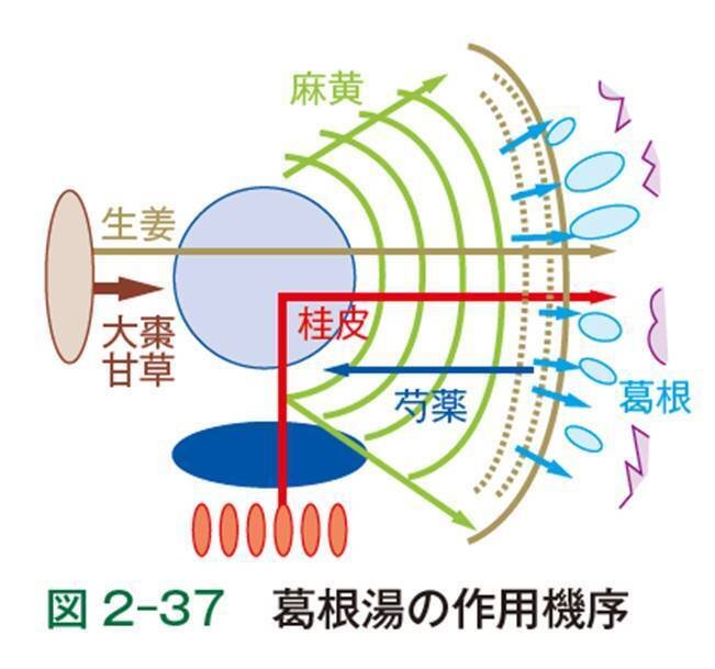 究めるエキス漢方大全 : 「ZtoA」実践から基礎へ 究めるエキス漢方大全: 「Z to A 」実践から基礎へ | 仙頭 正四郎 |本