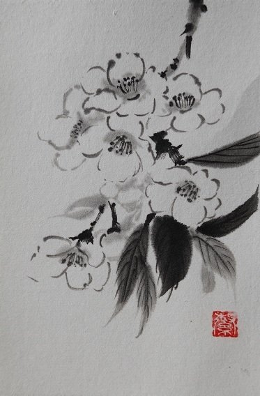 水墨画の桜です。今回は絵手紙風に画仙紙はがきに描き上げました。筆は習字用の大筆を使っています。