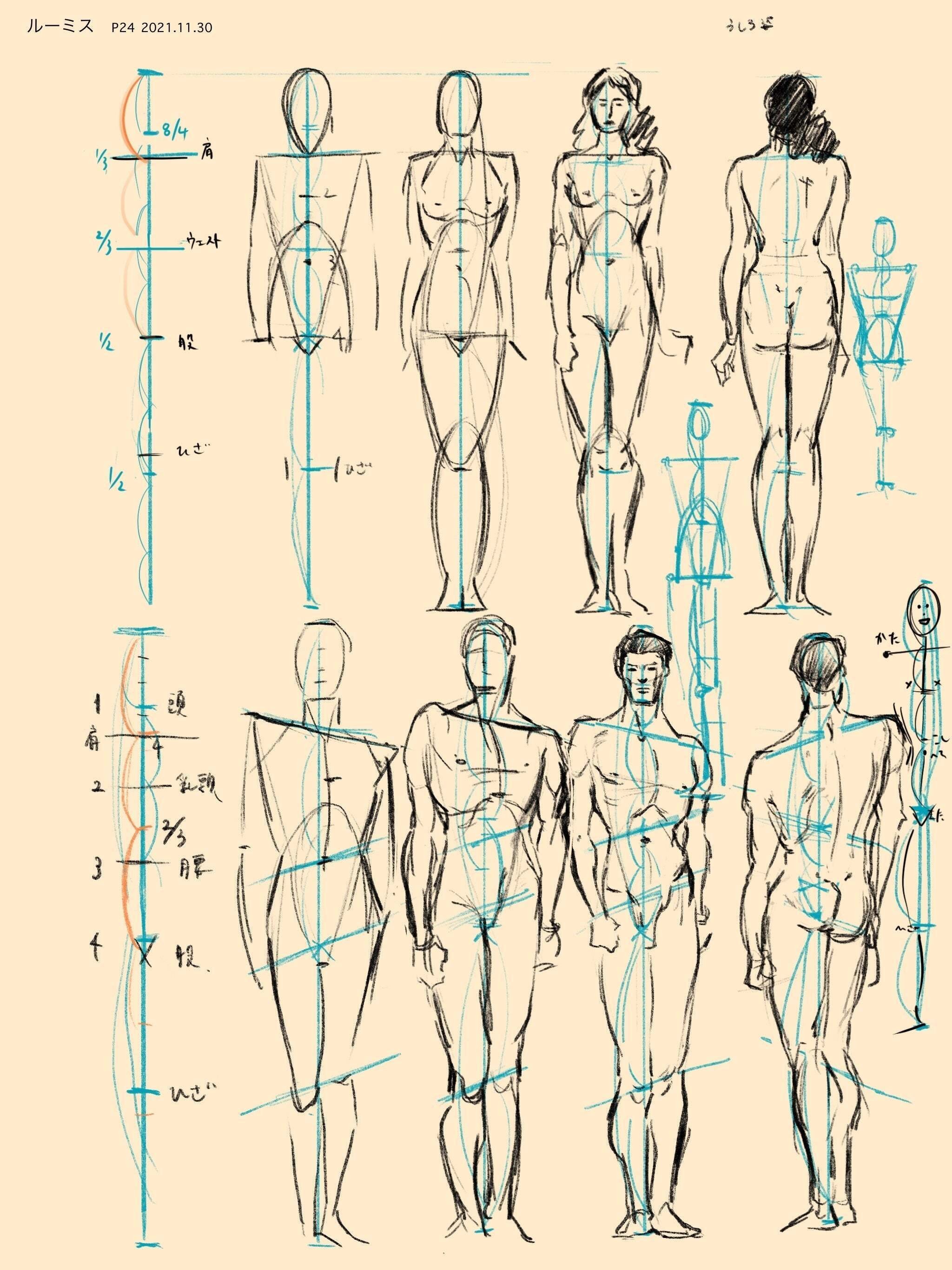 ルーミス模写はじめました 6bsayaka イラストレーターを目指す人 Note
