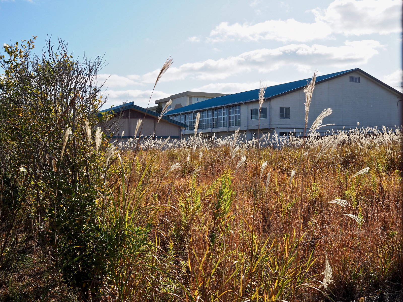 2019年11月10日、福島県立浪江高校。｜鈴木邦弘