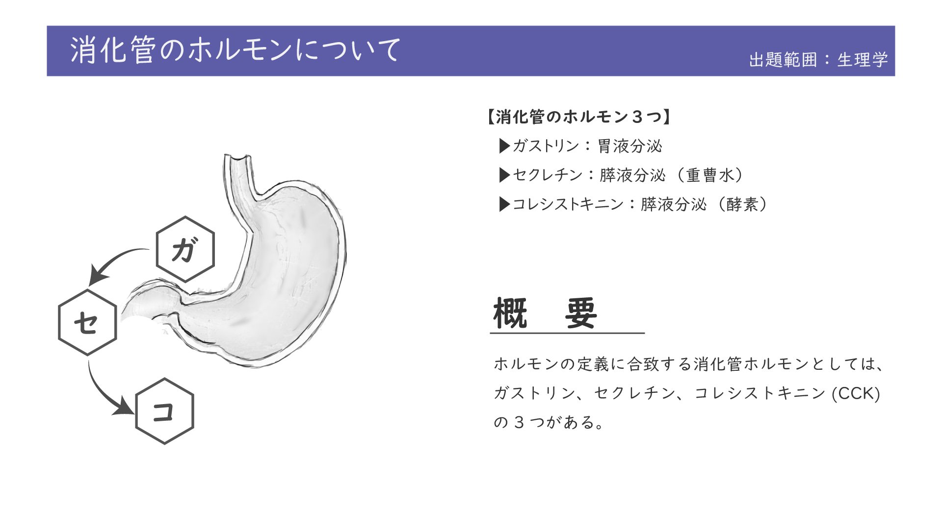 生理学 図解イラストとゴロあわせで簡単 消化管ホルモン ガストリン Cck セクレチン 覚え方 森元塾 国家試験対策 Note