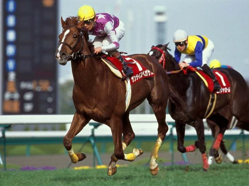 卸し売り購入 現地的中馬券 ヴィクトリー 若葉ステークス 単勝 Jra 阪神競馬場 Lacistitis Es