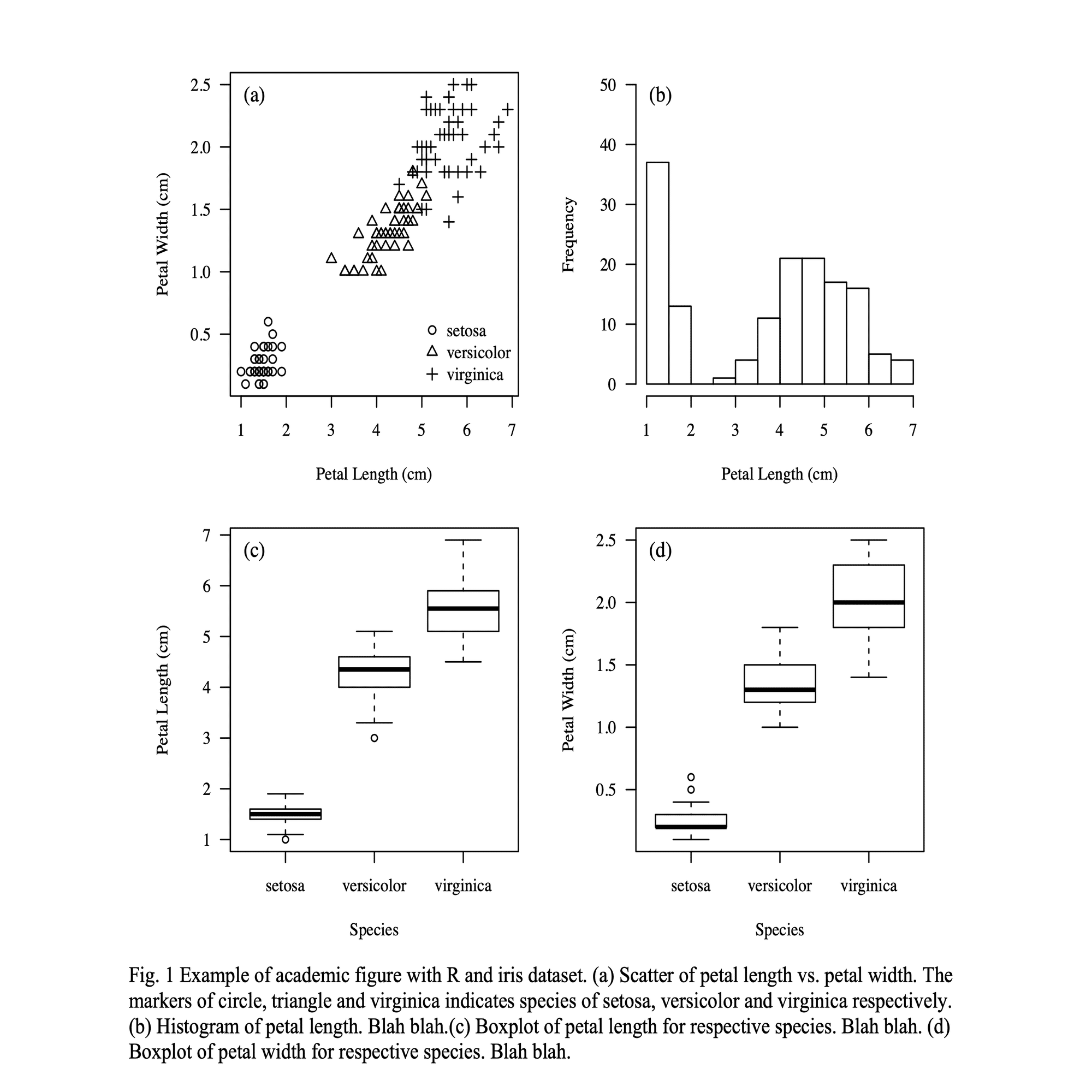アカデミックな書式の美学｜小司 優陸 / Shoji, Yutaka