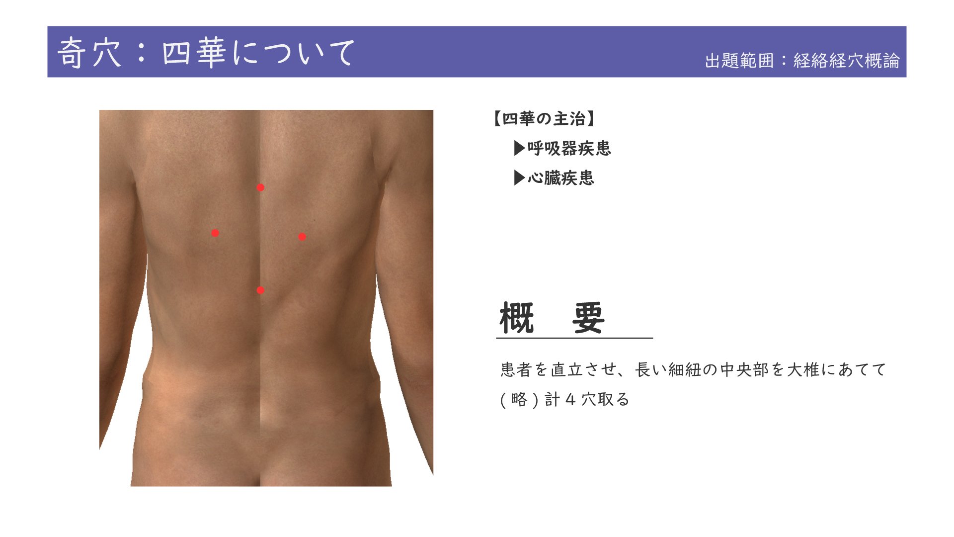 図説東洋医学 奇穴編 （針灸学［経穴篇］（改訂版） | 単行本