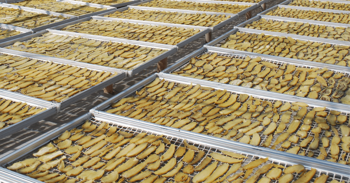 干し芋用すだれ100枚