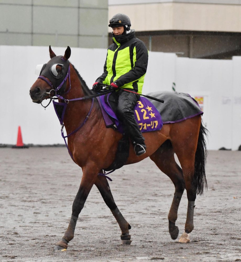 有馬記念21 サイン攻略1 ポスター解読 日本サイン競馬会 Note
