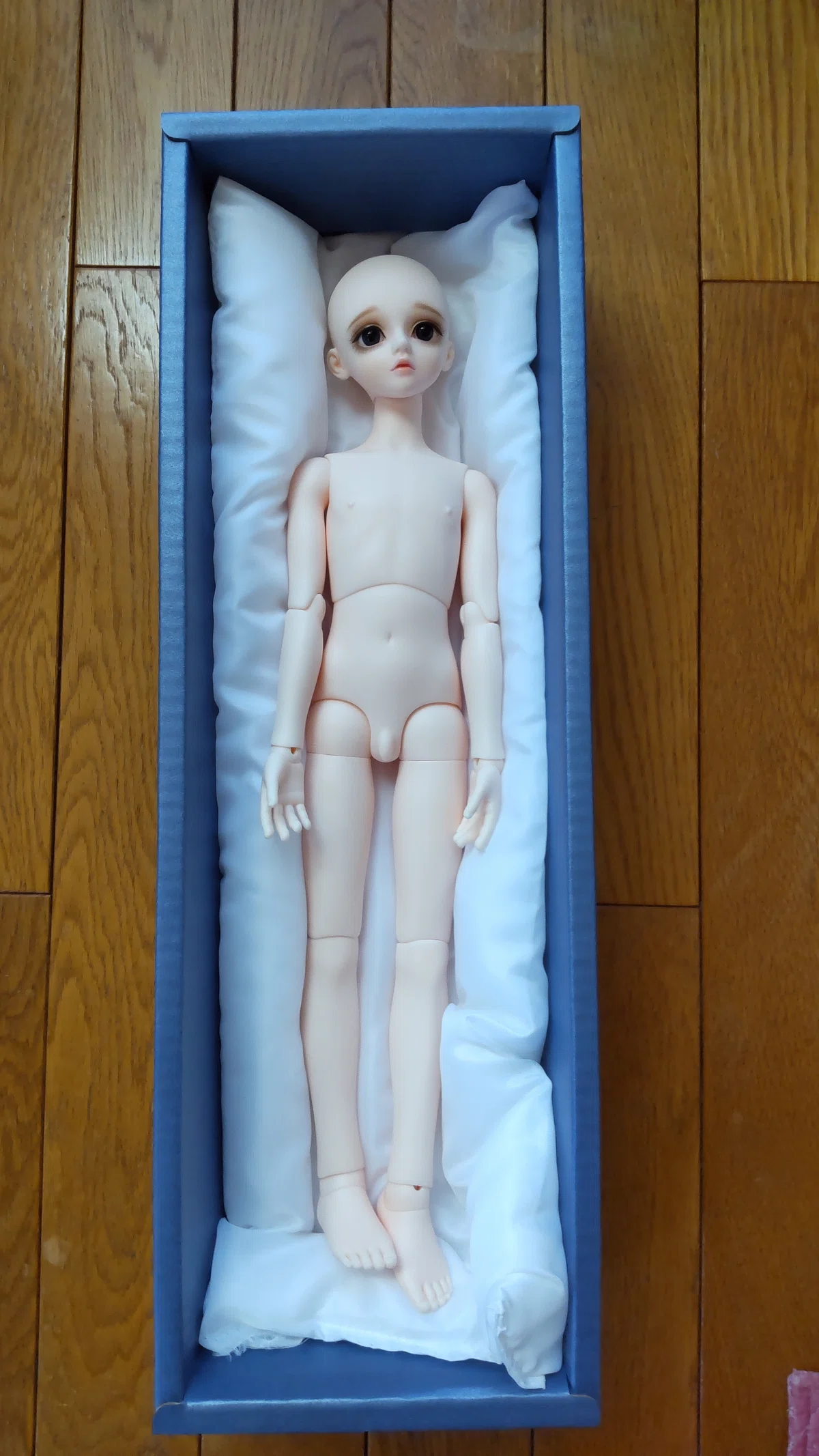 LUTS DOLL Kid Delf CHERRY』お迎えレポ｜ゆずのき