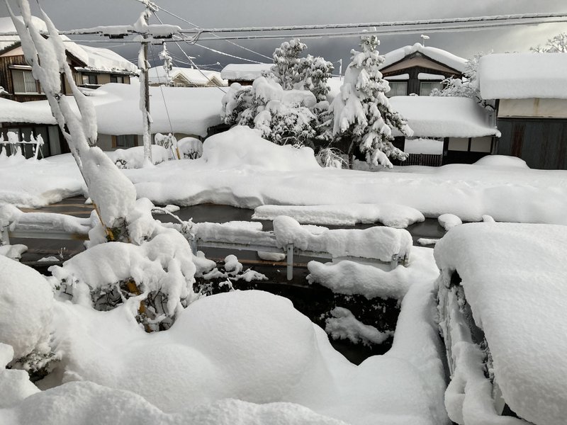 朝起きたら雪国だった