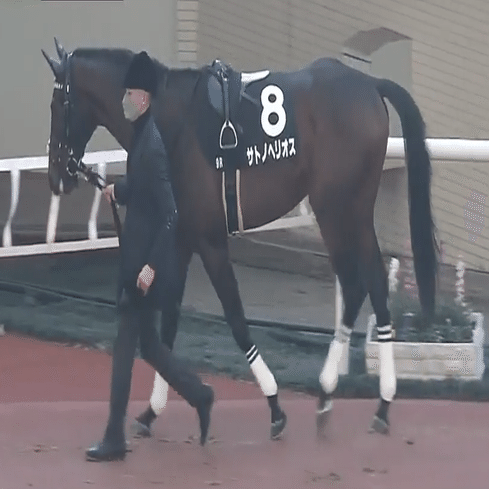 ホープフルｓ 今年は２強 Paddock Lab 運営者 ｎ Suzuki Note