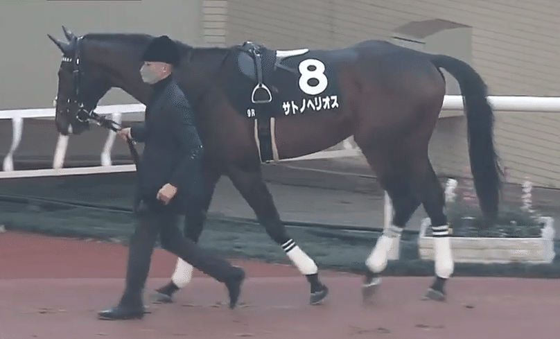 ホープフルs 今年は2強 Paddock Lab 運営者 n Suzuki Note ホープフルs 今年は2強 Paddock Lab 運営者 n Suzuki Note