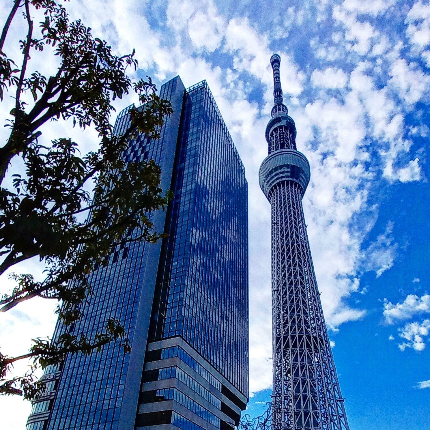 東京万景 スカイツリーを眺めながら押上から錦糸町まで歩く 消雲堂 しょううんどう Note 東京万景 スカイツリーを眺めながら押上から錦糸町まで歩く 消雲堂 しょううんどう Note