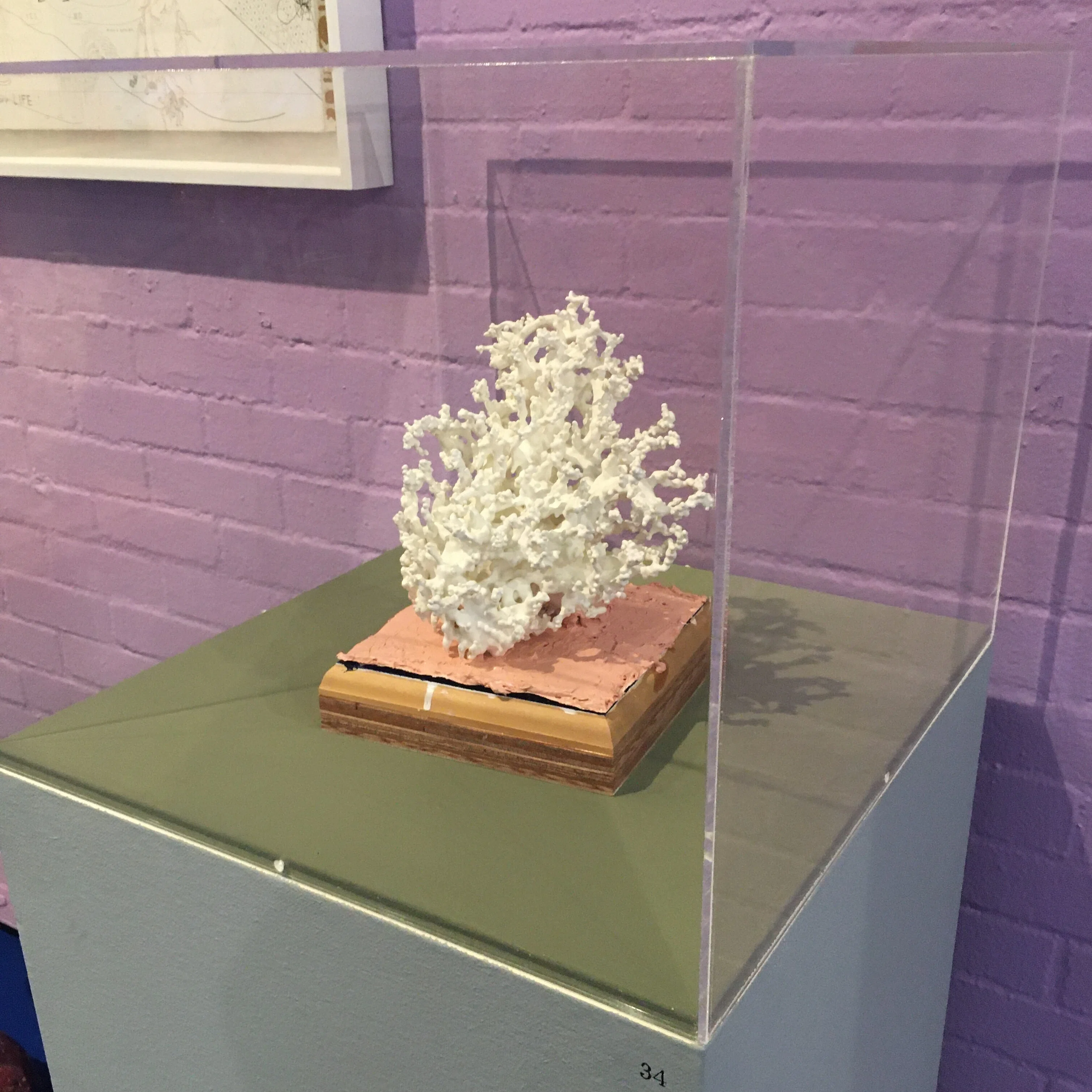 ポリネーター展に見る「美術のおもしろさ」について 播磨みどり