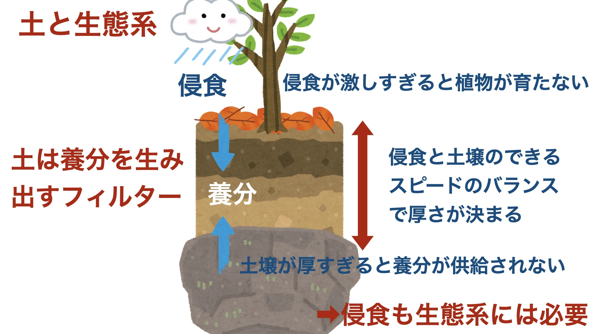 土の層