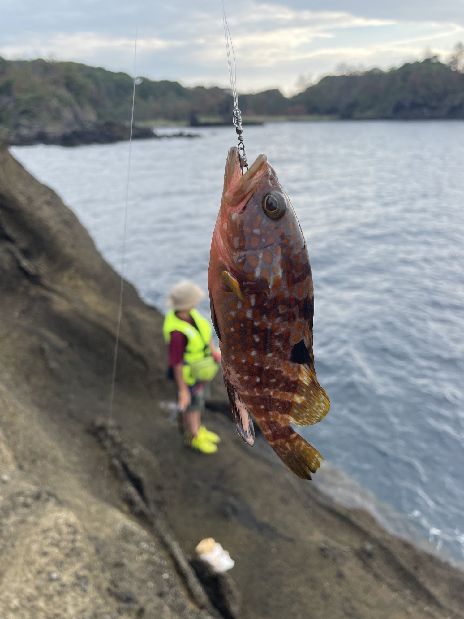 Autcscj Zun7ym Autcscj Zun7ym