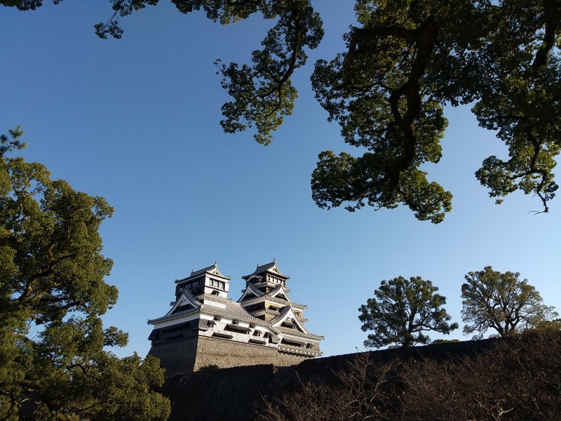 元旦の熊本城です。何年ぶりに、元旦に熊本城へ来ただろう………という私の城への想いを吹き飛ばすかのように、私の隣で、甥っ子姪っ子たちがわいわい言いながら、屋台のフライドポテトと唐揚げとリンゴ飴を、めっちゃ笑顔で堪能してましたとさ(^^)