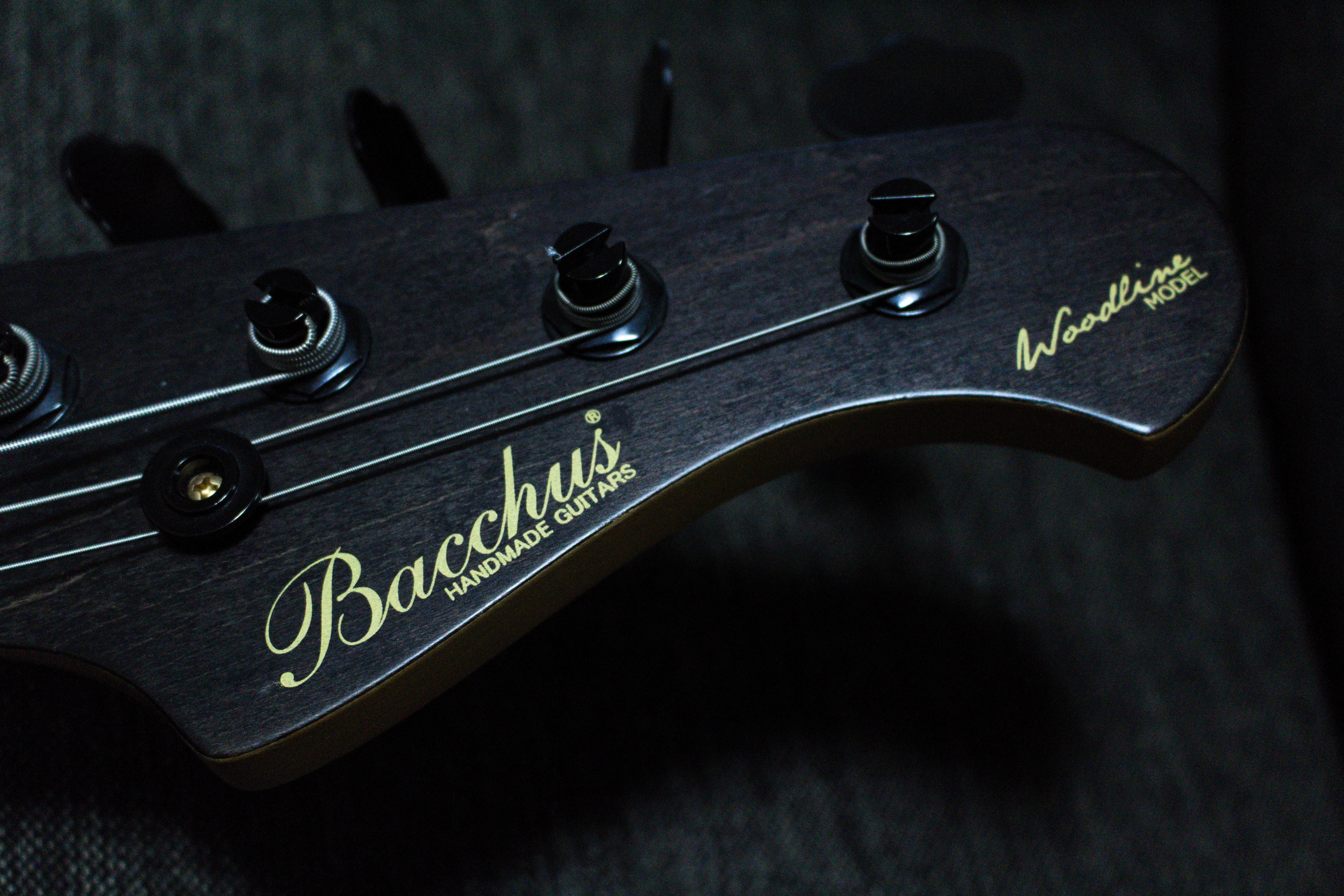 機材紹介Vol.7 Bacchus WOODLINE DX4-BGP/E BLK/OIL｜k