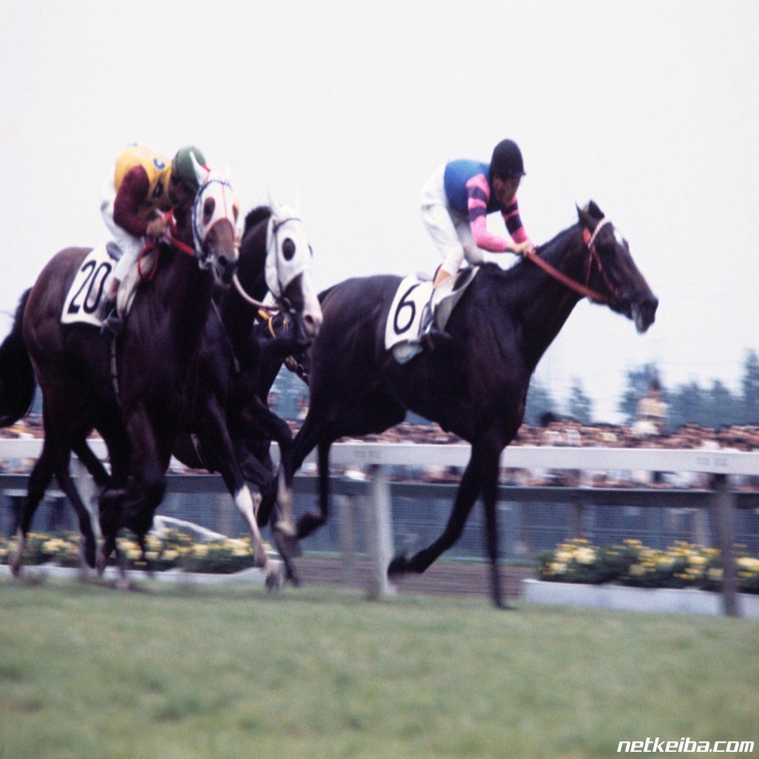 競馬 ウマ娘じゃ学べない もう一つの最強世代 花の47年組 とタイテエムについて マツウラ Note