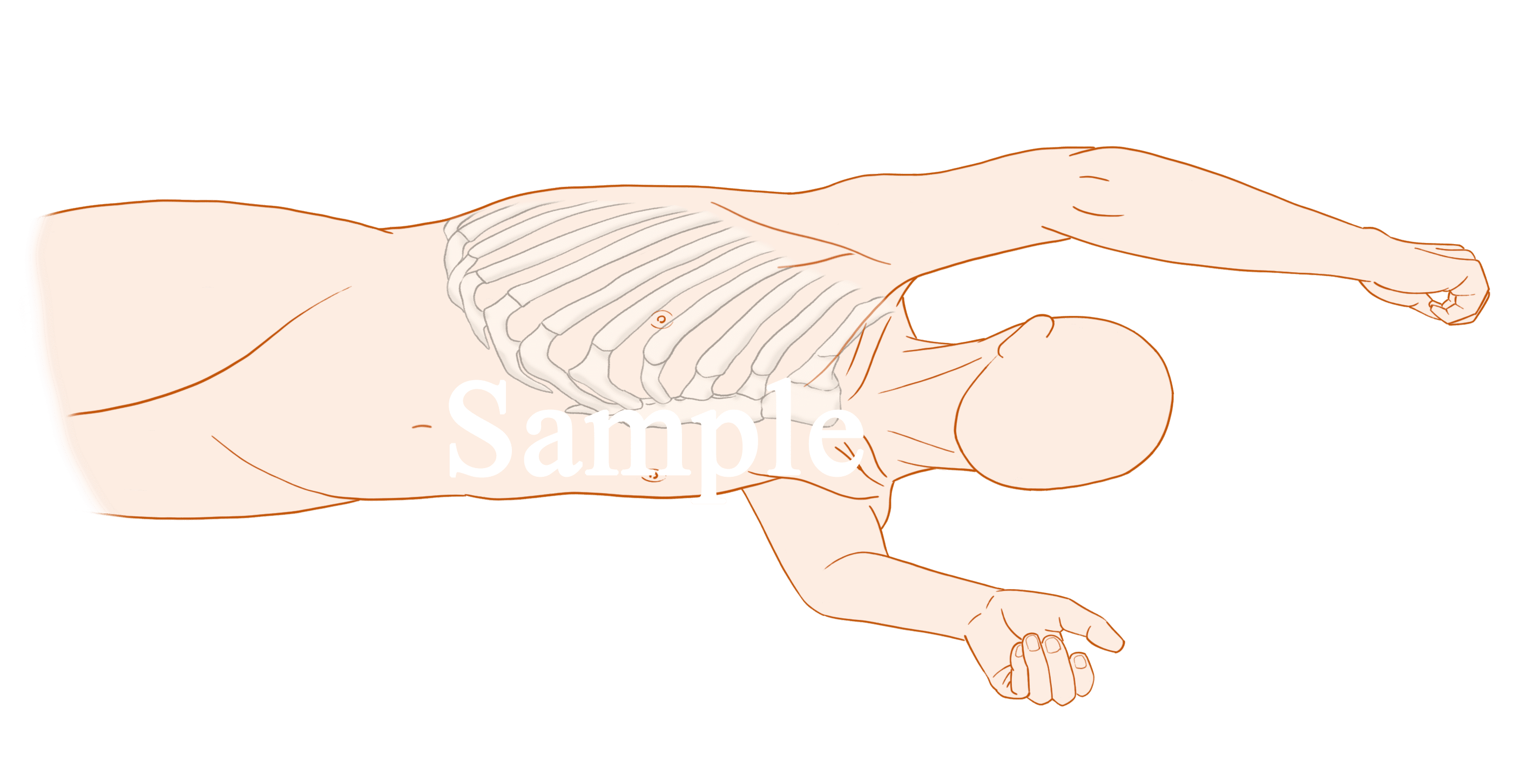 左側臥位 の新着タグ記事一覧 Note つくる つながる とどける