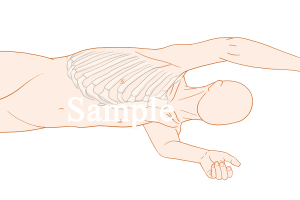 左側臥位 の新着タグ記事一覧 Note つくる つながる とどける 左側臥位 の新着タグ記事一覧 Note つくる つながる とどける